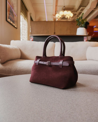 Mini Parisian Suede Top Handle Bag